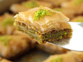 Raw Pistachio Halves and Pieces