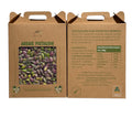 500g Raw Australian Pistachio Kernels