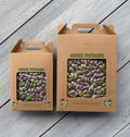 225g Raw Australian Pistachio Kernels